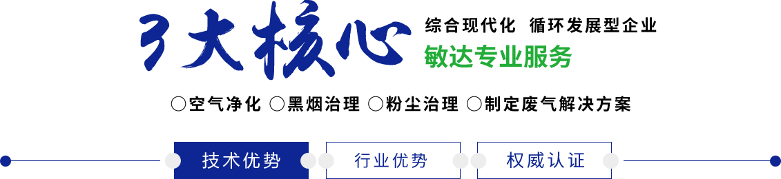 日本女人操大逼敏达环保科技（嘉兴）有限公司